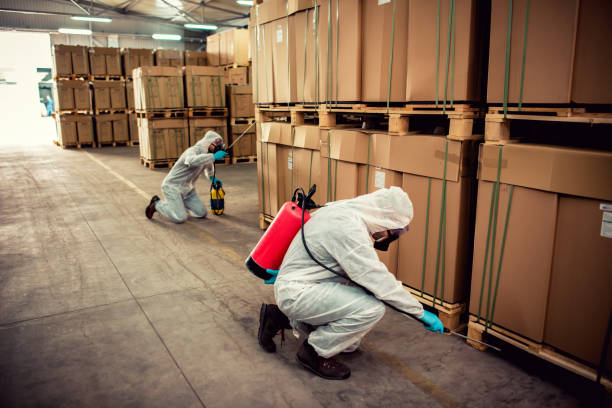 Best Best Pest Control Companies  in Innotion, VA