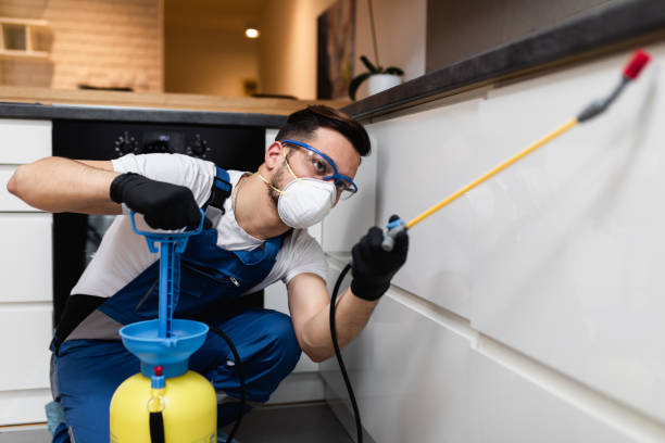 Best Pest Prevention Services  in Innotion, VA