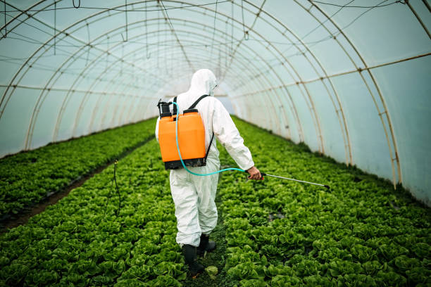 Trusted Innovation, VA Pest Control Experts