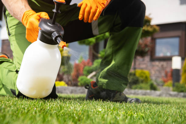 Best Residential Pest Control  in Innotion, VA