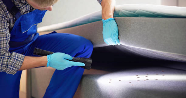 Best Termite Control Services  in Innotion, VA