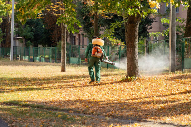Best Pest Inspection Near Me  in Innotion, VA