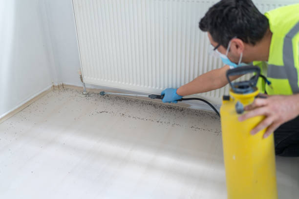 Best Affordable Pest Control Services  in Innotion, VA